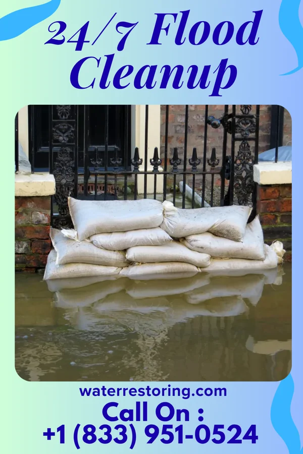 24/7 Flood Cleanup in Tamarack, MN