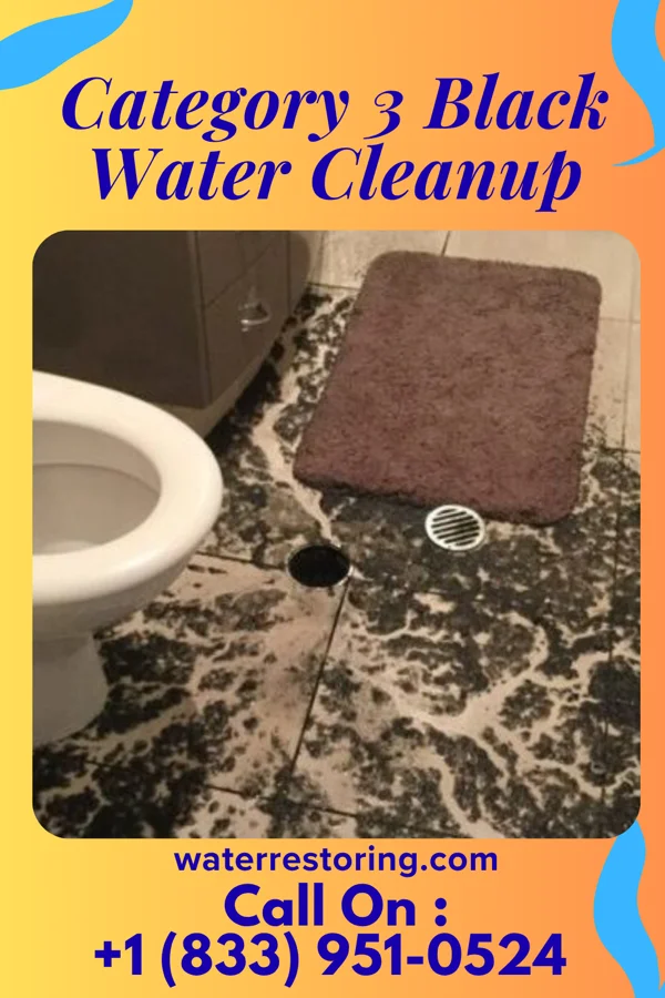 Category 3 Black Water Cleanup in Tamarack, MN