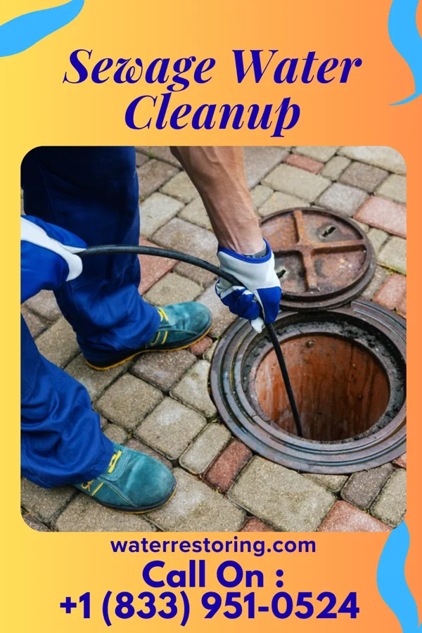 Sewage Water Cleanup in Tamarack, MN
